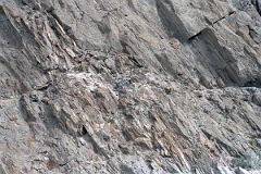 17 Dangerous Trail Cut Into Steep Rock Face After Jhola.jpg